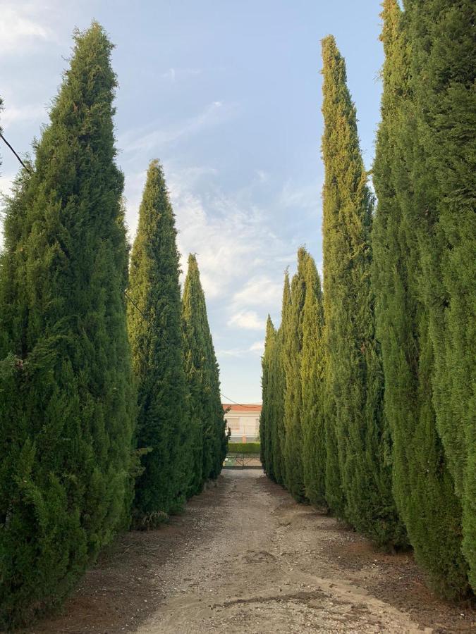 Caseria San Jose Baeza Eksteriør billede